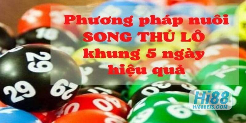 Phương pháp nuôi lô song thủ khung 5 ngày