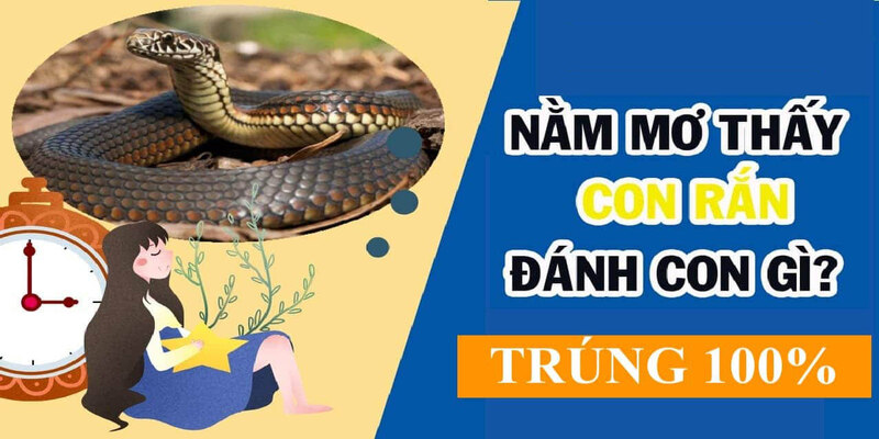 Nằm mơ thấy rắn thì nên chọn con số nào để đánh?