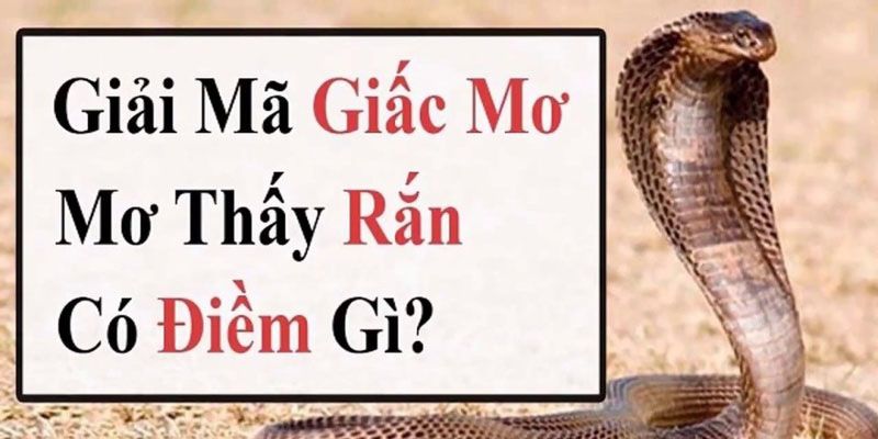 Ý nghĩa của giấc mơ về loài rắn