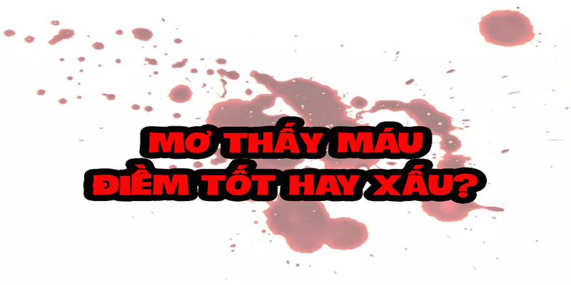 Mơ thấy máu tốt hay xấu