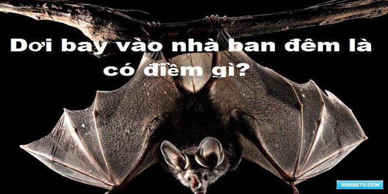 Ban đêm mà dơi vào nhà là điềm gì?